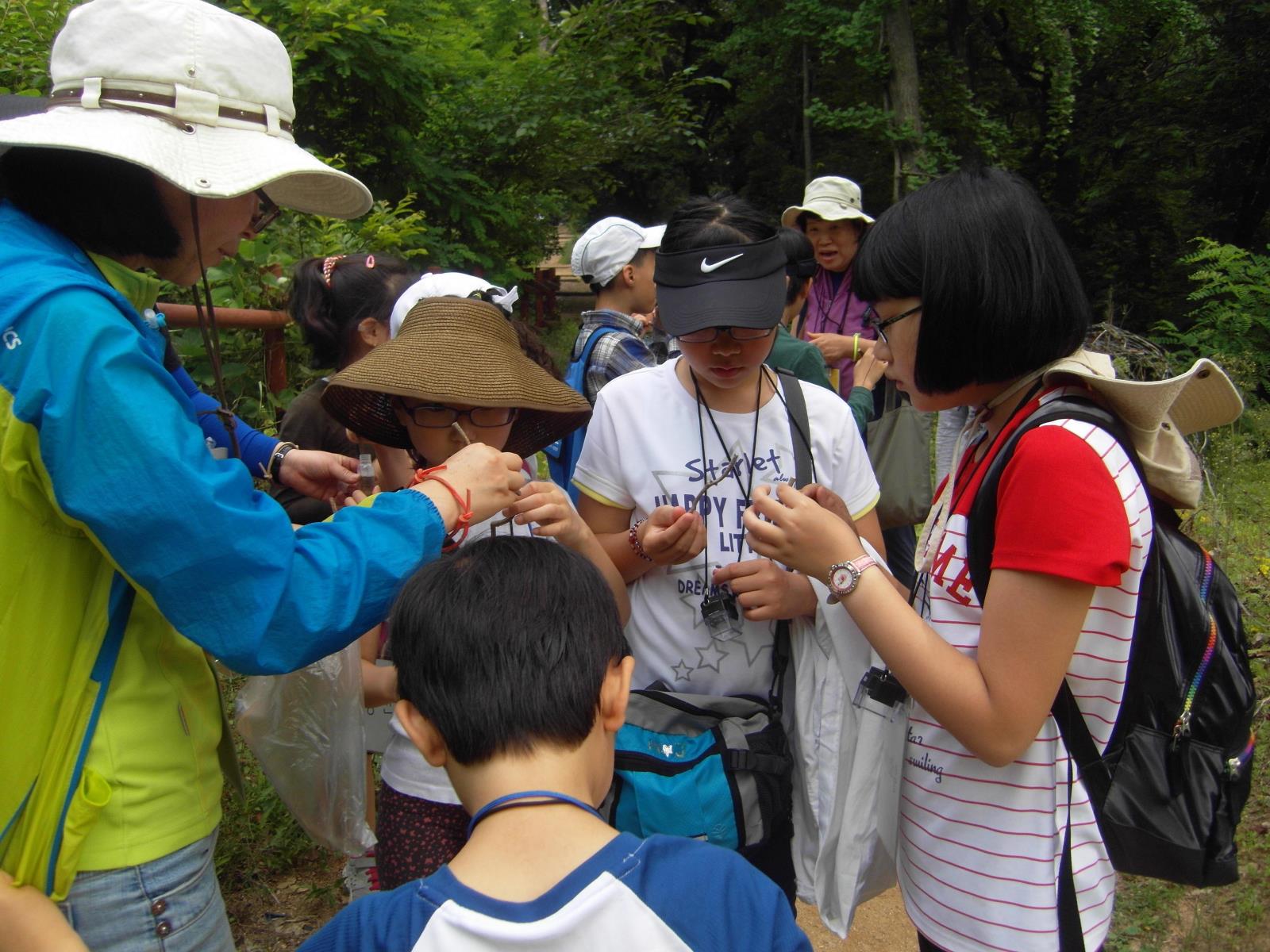 동춘1동, 청량산 숲 교실 프로그램 운영의 2번째 이미지