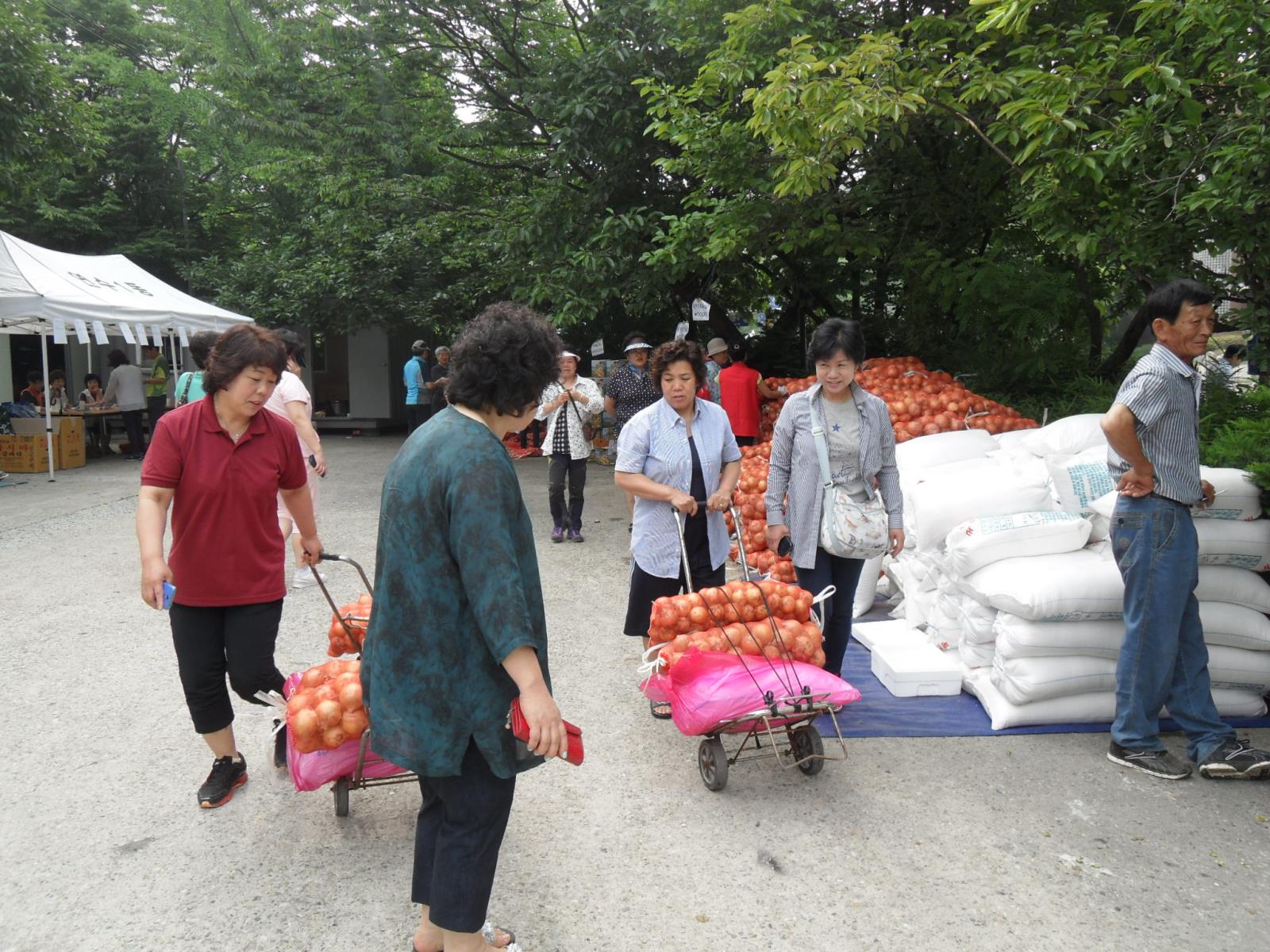 연수1동 , 자매결역지역 농산물 직거래장터 성황리 개최의 1번째 이미지