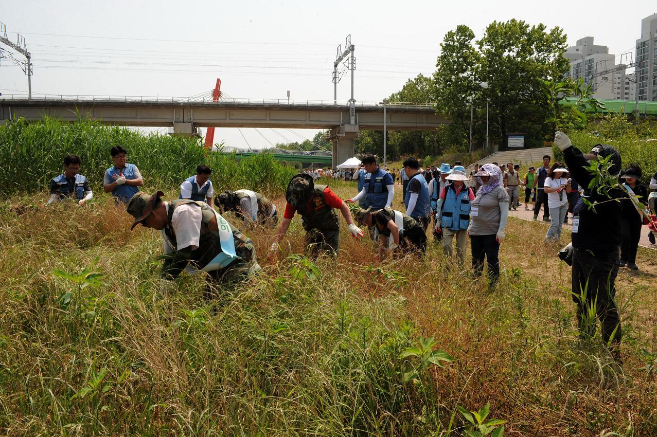 2012년 승기천 환경정화 행사 실시의 1번째 이미지