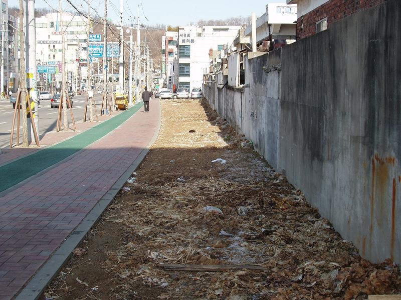 연수구, 관내 유휴지내 대대적인 유실수 심기사업 추진의 1번째 이미지