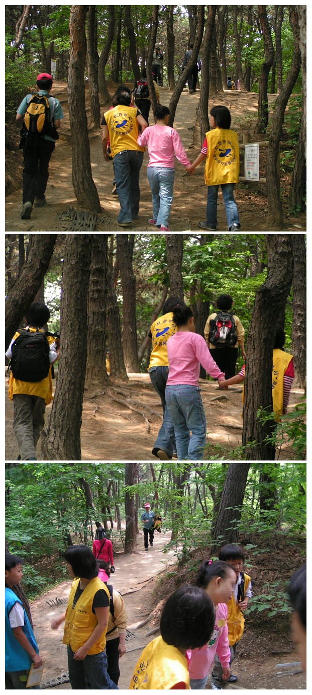 2기가족봉사단 청량산나들이(명심원)의 1번째 이미지