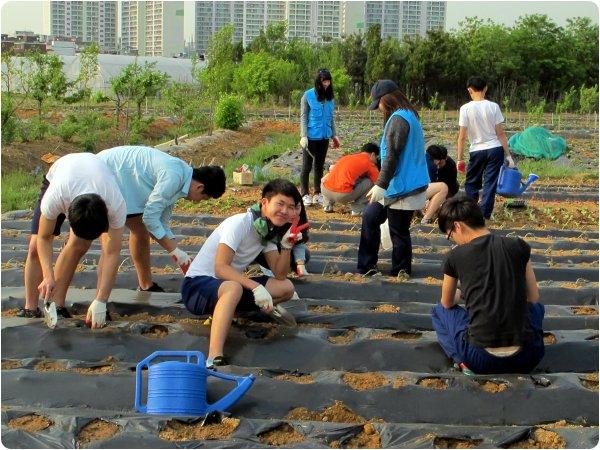 연수구자원봉사센터-  대건고등학교 학생들과 함께하는 텃밭일구기의 1번째 이미지