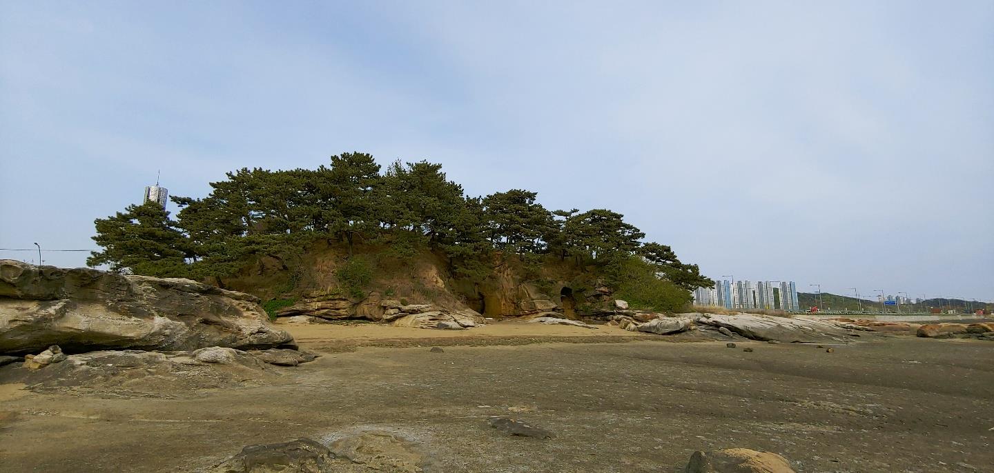 아암도 소식 3. 아암도 시 한편의 1번째 이미지